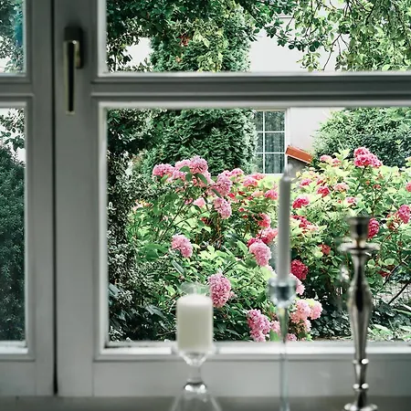 The Secret Garden Boutique 3*